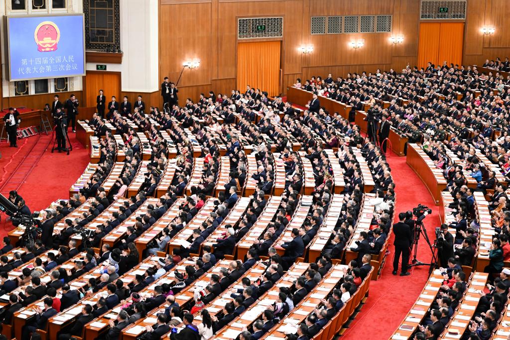 全国人大代表、盐津铺子董事长张学武出席十四届全国人大三次会议开幕会 全国人大代表、盐津铺子董事长张学武出席十四届全国人大三次会议开幕会