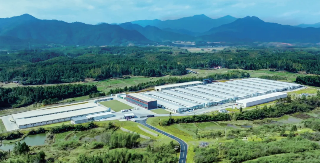 央视网《超级工厂》走进盐津铺子:揭秘中国零食背后的全产业链实力 央视网《超级工厂》走进盐津铺子:揭秘中国零食背后的全产业链实力