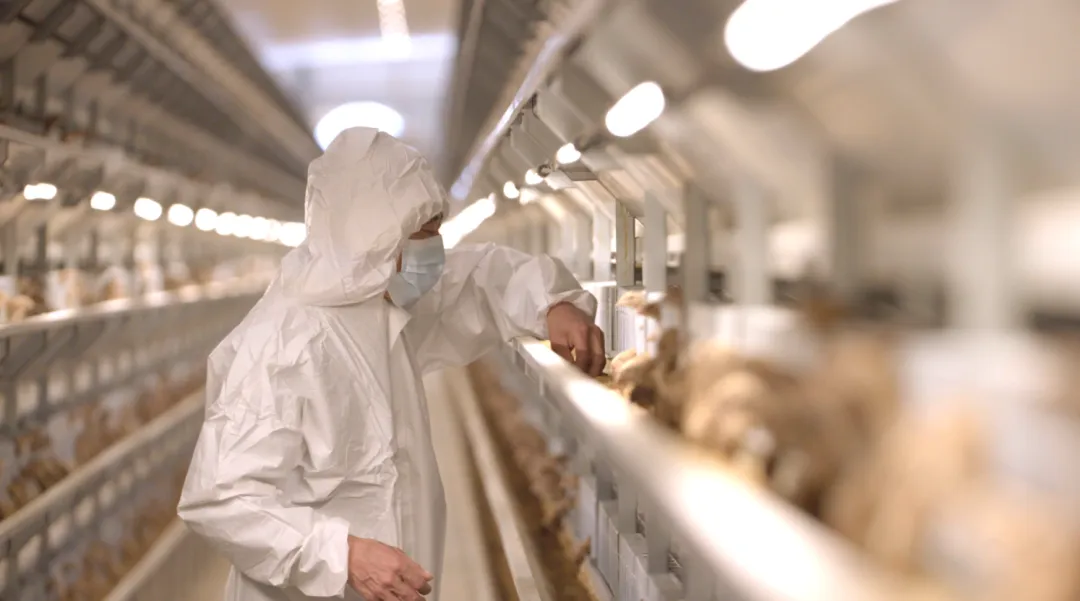 央视网《超级工厂》走进盐津铺子:揭秘中国零食背后的全产业链实力 央视网《超级工厂》走进盐津铺子:揭秘中国零食背后的全产业链实力