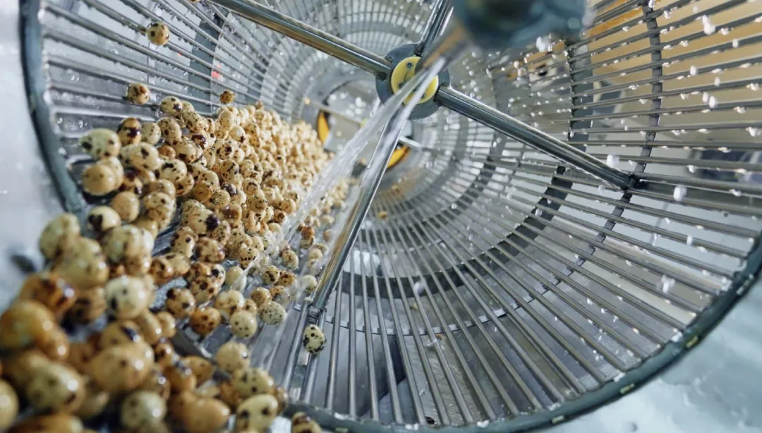 央视网《超级工厂》走进盐津铺子:揭秘中国零食背后的全产业链实力 央视网《超级工厂》走进盐津铺子:揭秘中国零食背后的全产业链实力