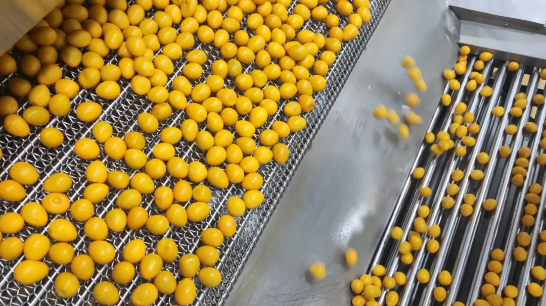 央视网《超级工厂》走进盐津铺子:揭秘中国零食背后的全产业链实力 央视网《超级工厂》走进盐津铺子:揭秘中国零食背后的全产业链实力