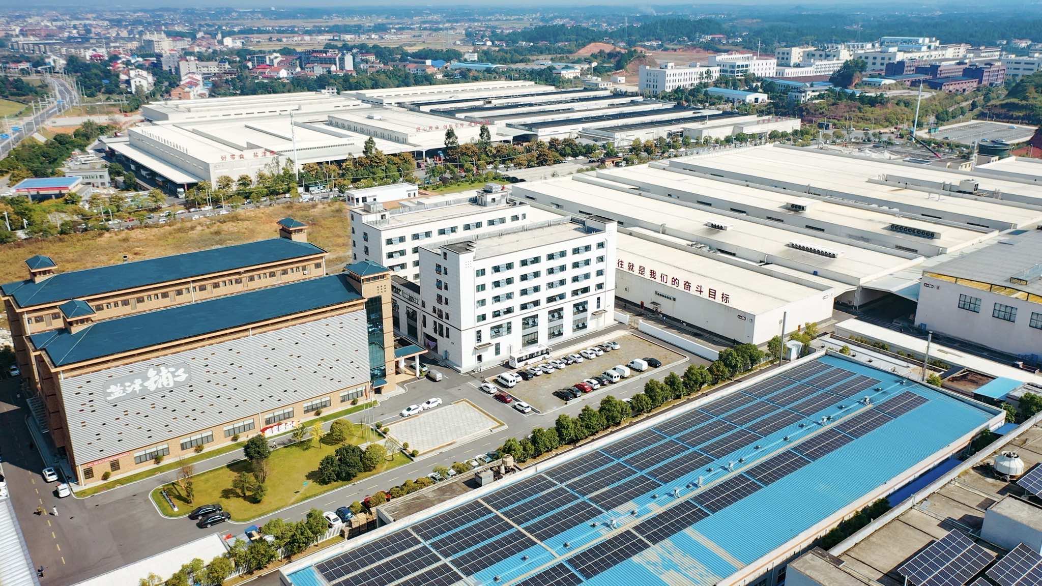 全国表彰!盐津铺子荣获“全国轻工行业先进集体”称号 全国表彰!盐津铺子荣获“全国轻工行业先进集体”称号