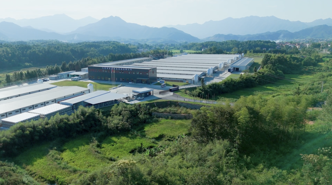 深度 | 提振消费,谁才是“高质价比”中国零食? 深度 | 提振消费,谁才是“高质价比”中国零食?