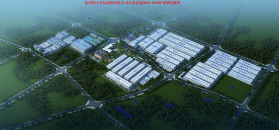 双核驱动 盐津铺子春糖打造新高地 双核驱动 盐津铺子春糖打造新高地